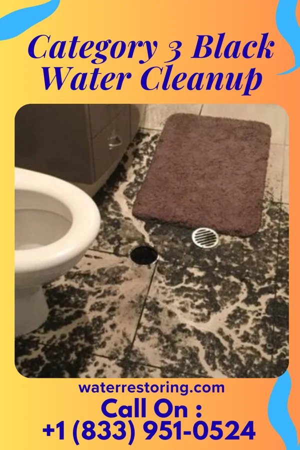 Category 3 Black Water Cleanup in Elm Grove, WI