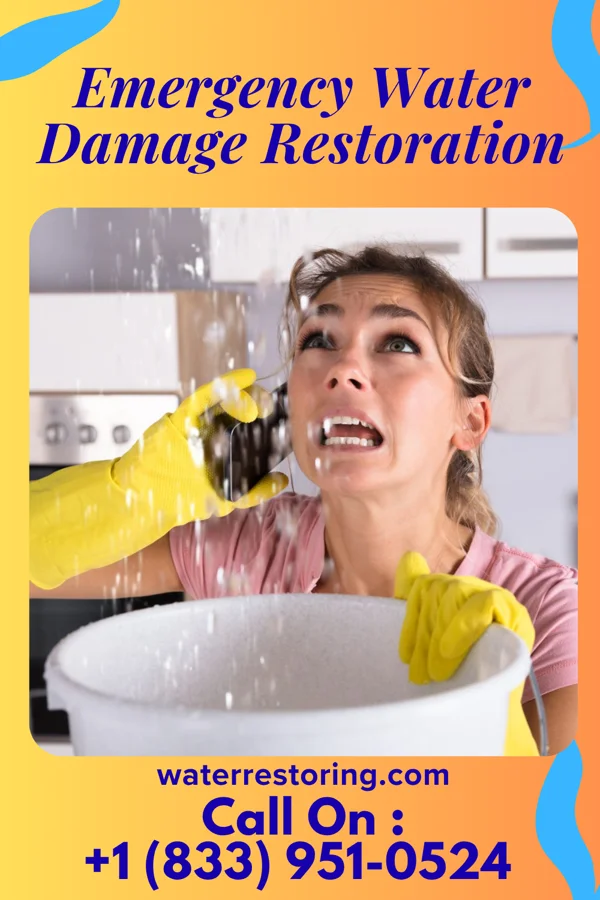 Emergency Water Damage Restoration in Elm Grove, WI