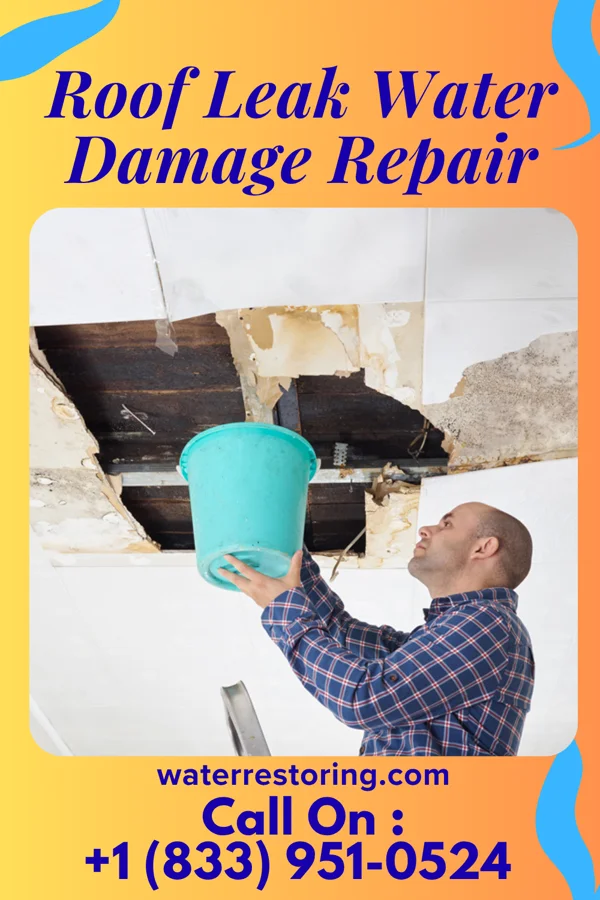 Roof Leak Water Damage Repair in Elm Grove, WI