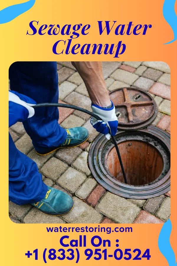 Sewage Water Cleanup in Elm Grove, WI